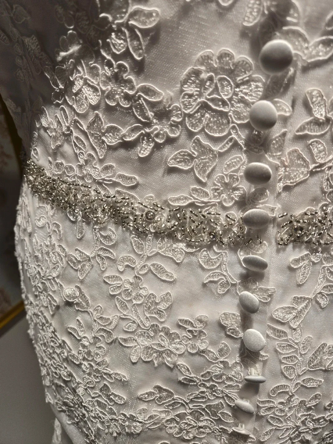 White Lace Wedding Dress image indicator(4)