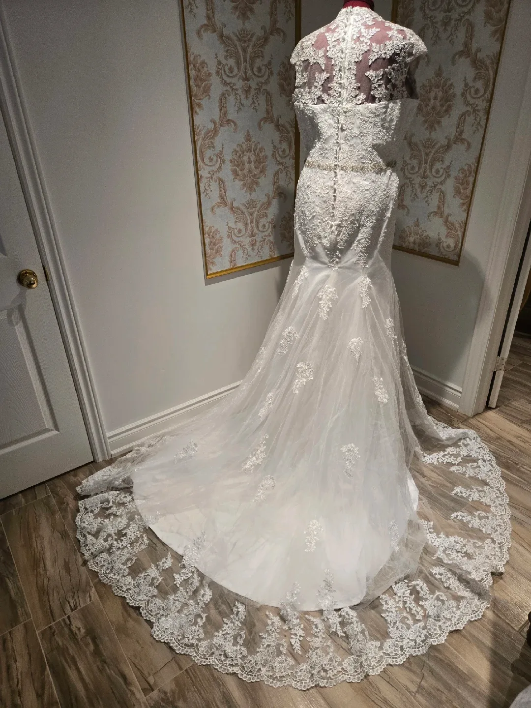 White Lace Wedding Dress image indicator(6)