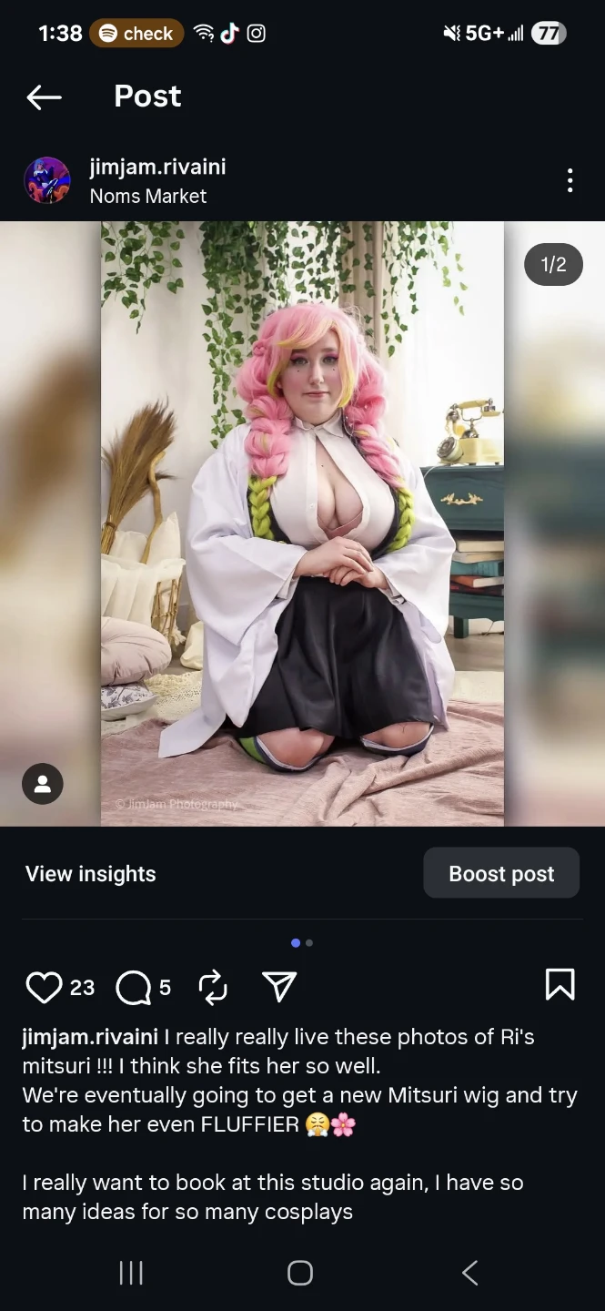 Mitsuri Kanroji Wig