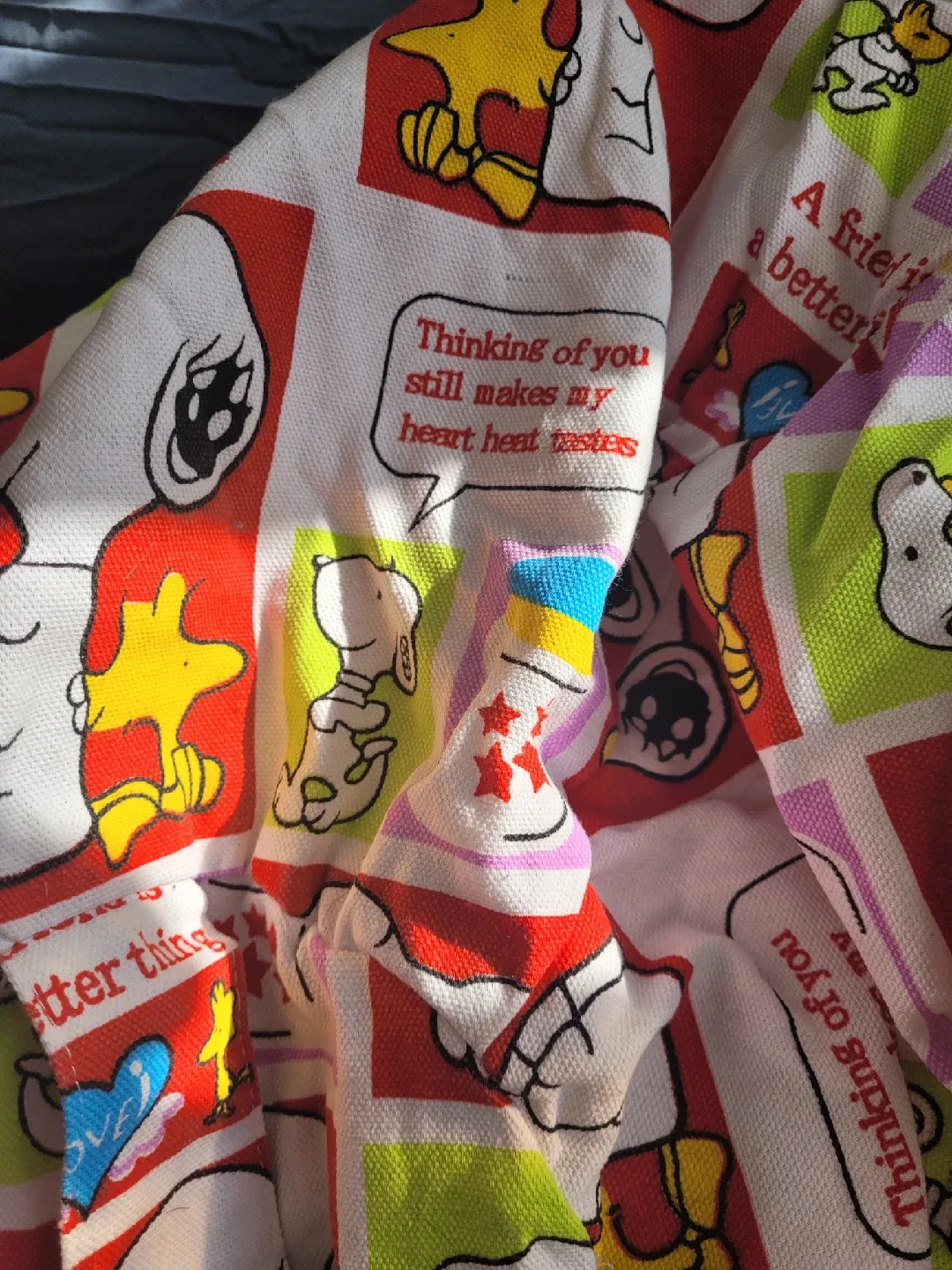 Snoopy stuffed aniaml storrage bag/ chair image indicator(4)