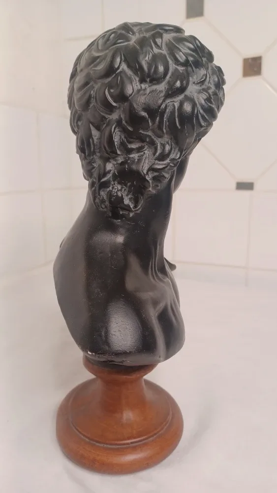 David Bust Statue image indicator(5)