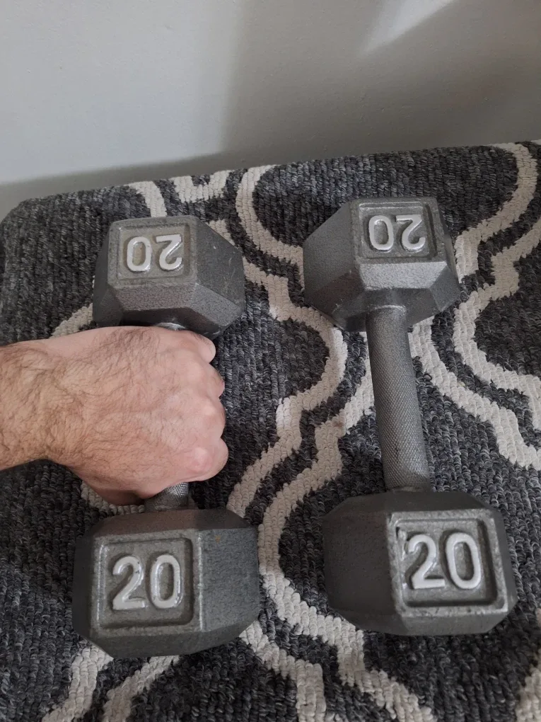 Pair of 20 lb Dumbbells image indicator(3)