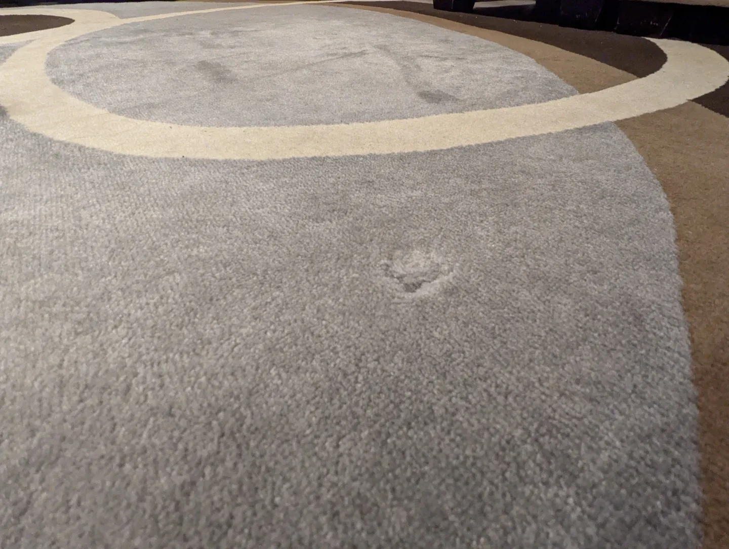 Used Area Rug 6x9 image indicator(3)