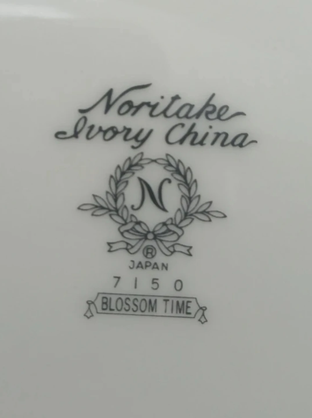 Noritake Ivory China Blossom Time Dinnerware Set - photo 4