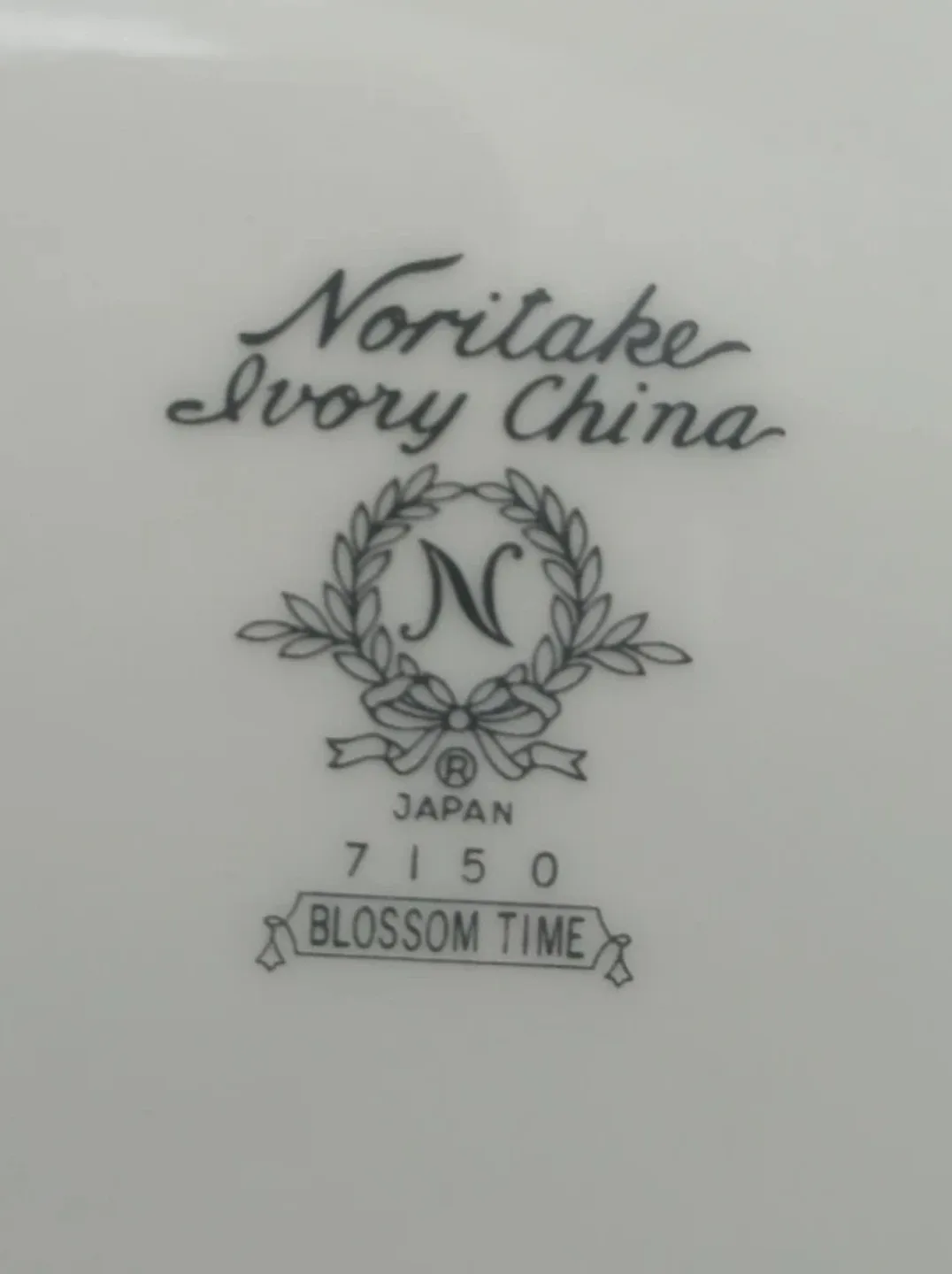 Noritake Ivory China Blossom Time Dinnerware Set image indicator(4)