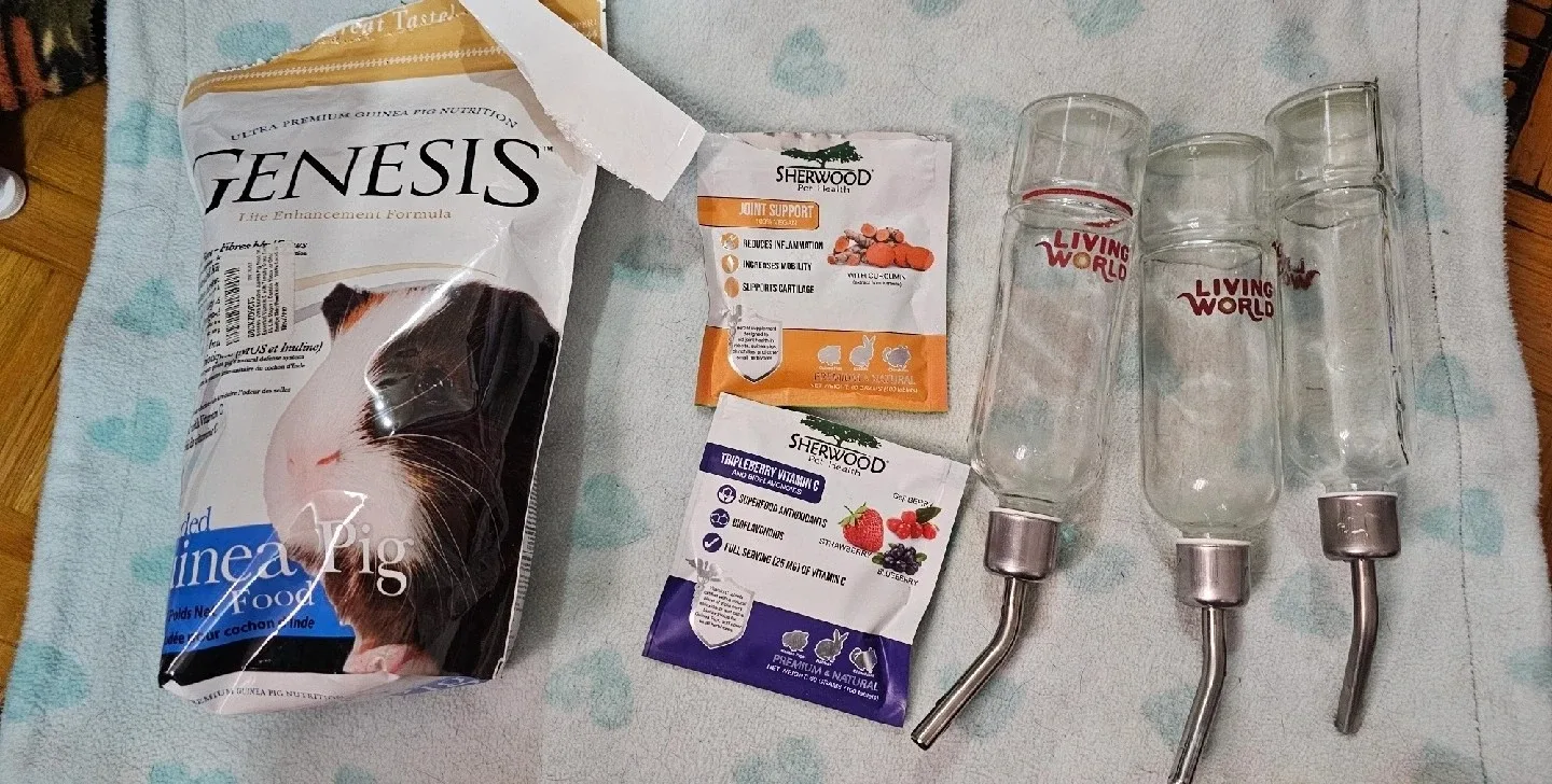 Guinea Pig Supplies bundle image indicator(6)