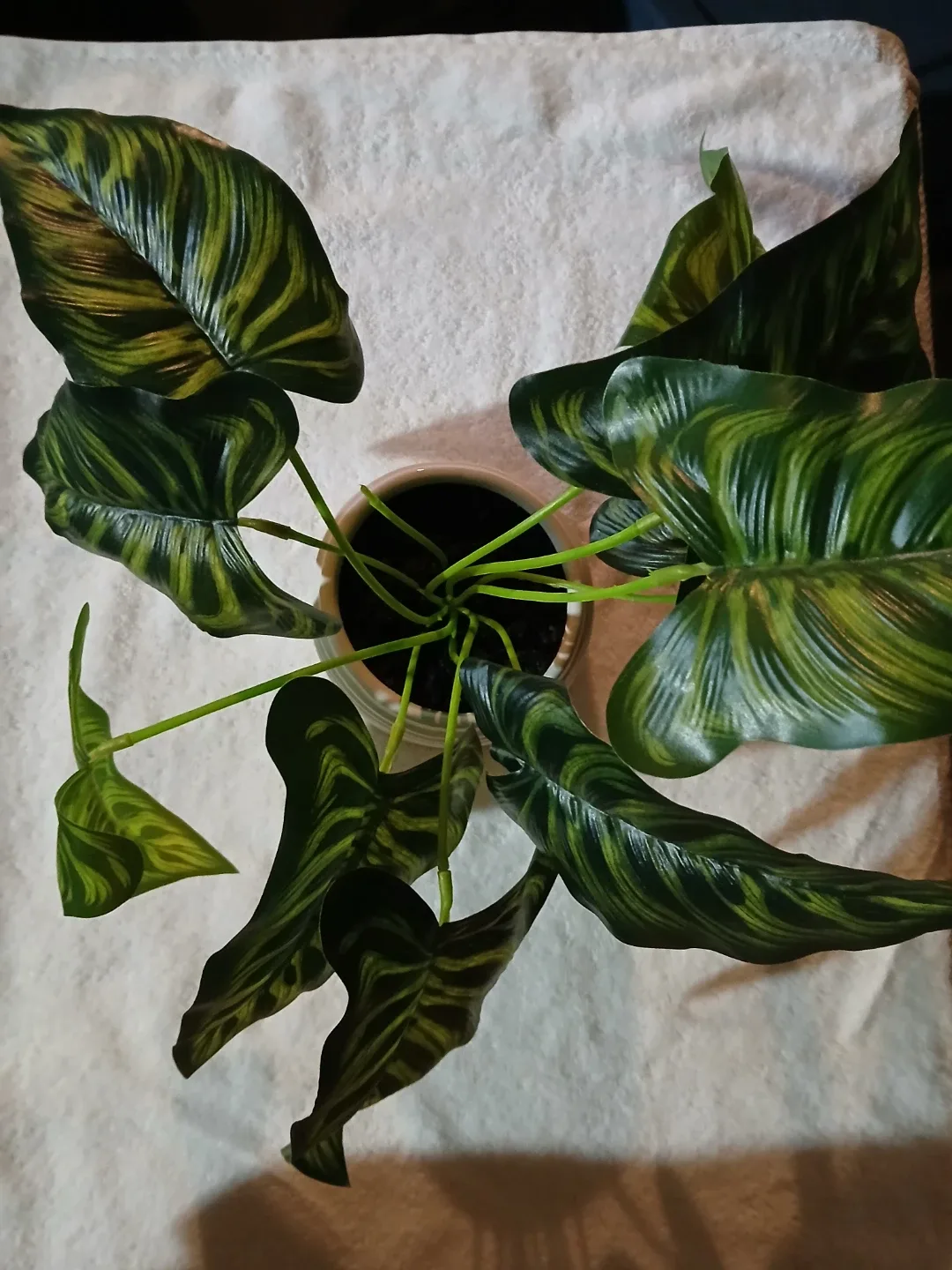 Artificial Plant in White Pot - set of 2 image indicator(2)