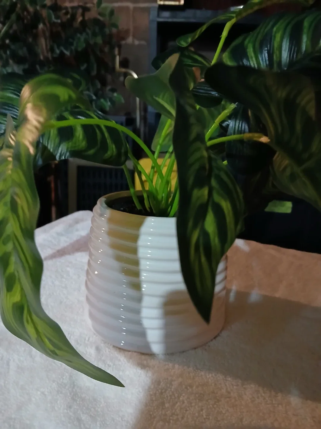 Artificial Plant in White Pot - set of 2 image indicator(3)