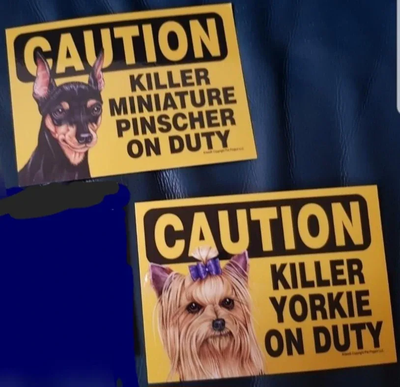 Caution Killer Miniature Pinscher & Yorkie Signs