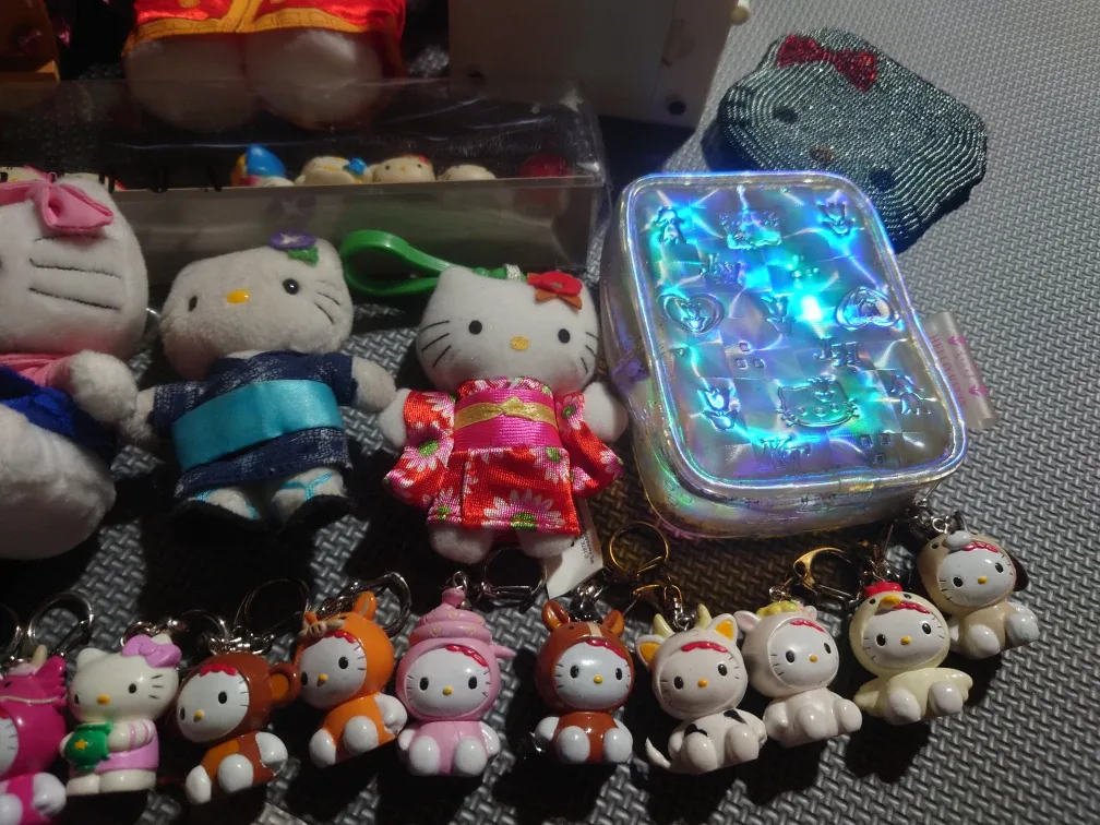 Hello Kitty Collection image indicator(5)