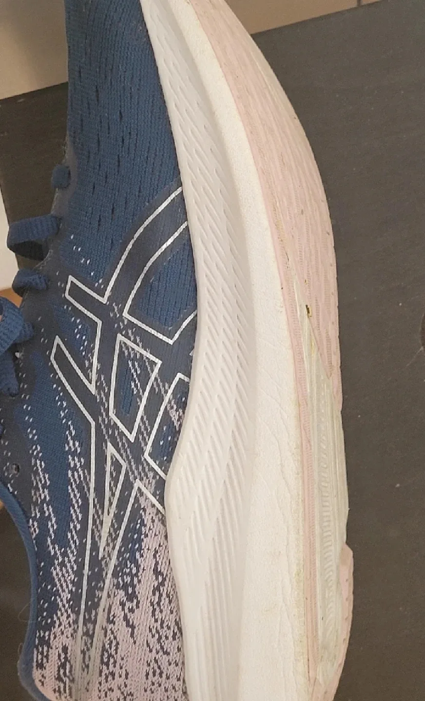 Asics Evoride 3 Running Shoes image indicator(7)