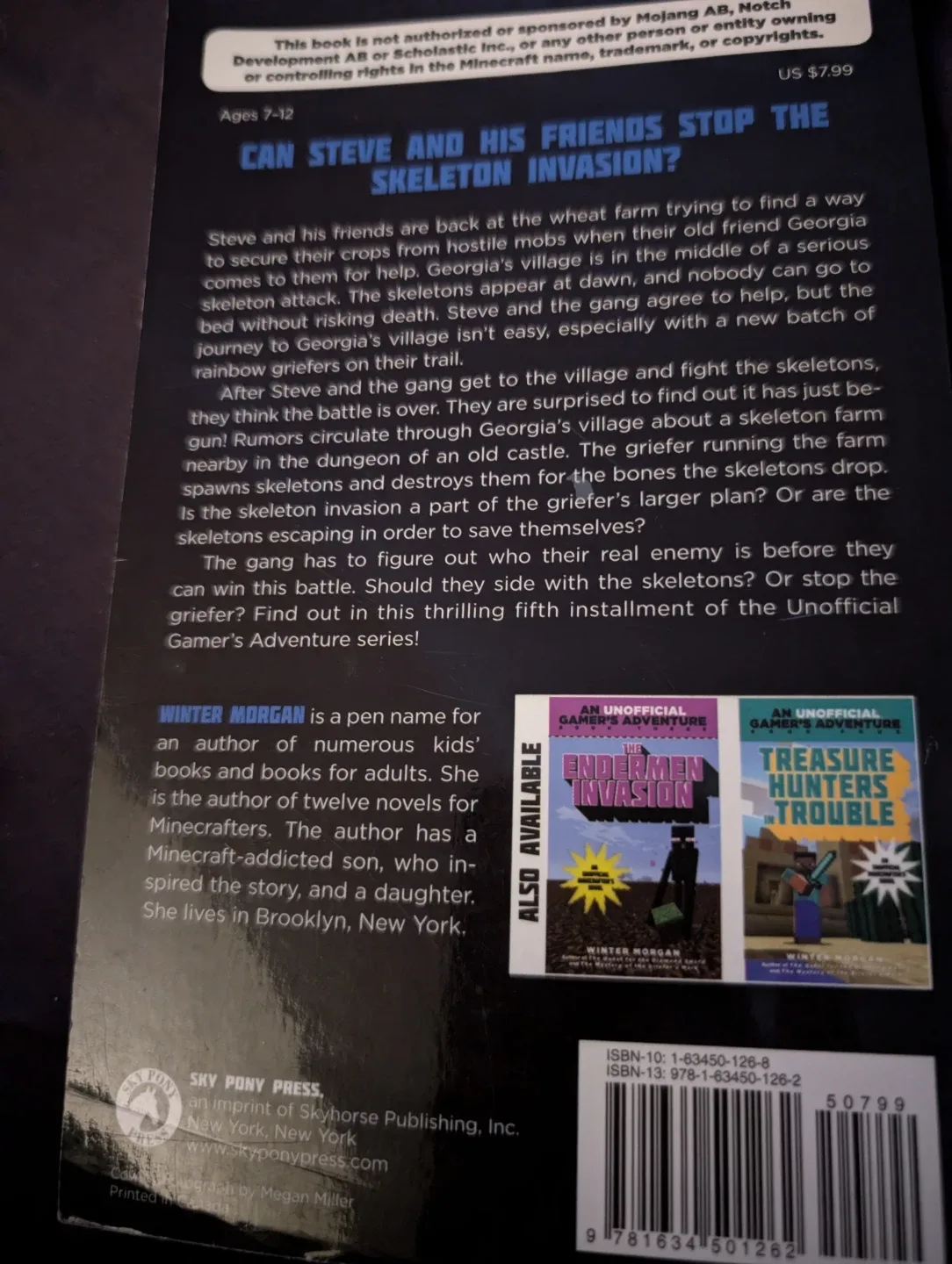 The Skeletons Strike Back Minecraft Novel image indicator(2)