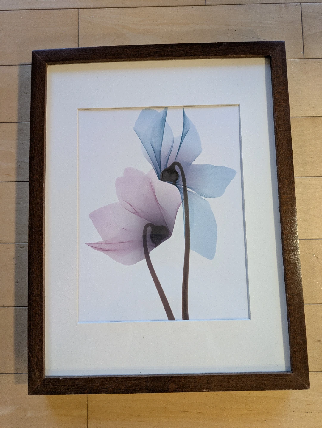 IKEA RIBBA Frame with Print