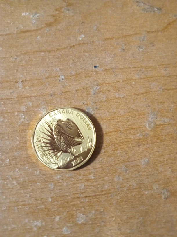 2023: 1952-2022 Cad Loonie - photo 2