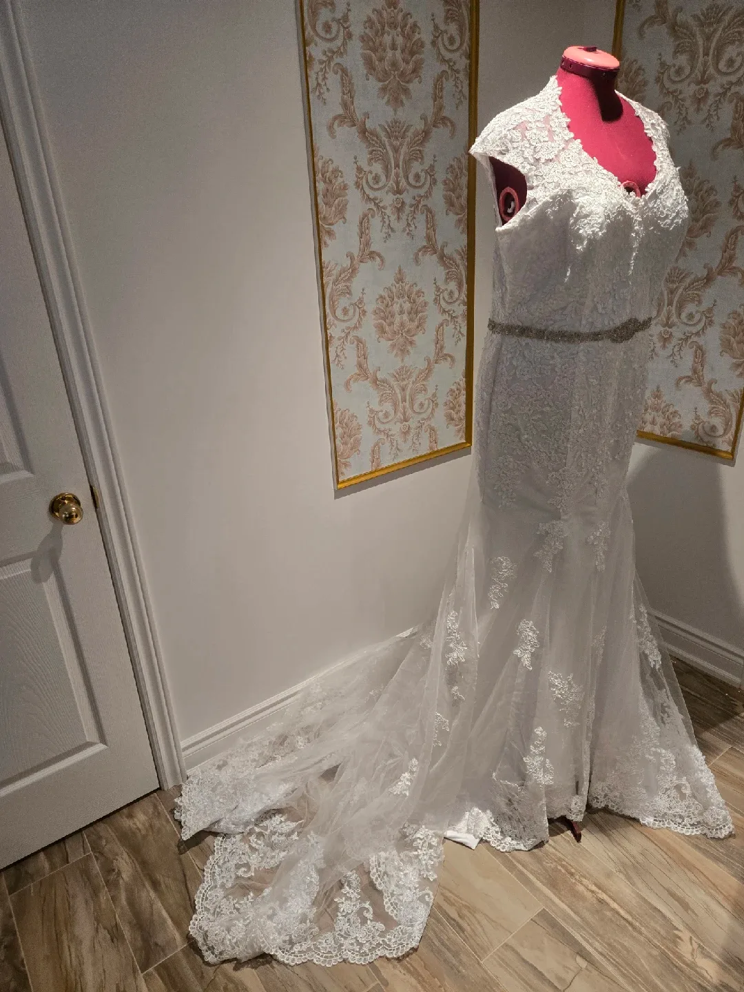 White Lace Wedding Dress image indicator(3)