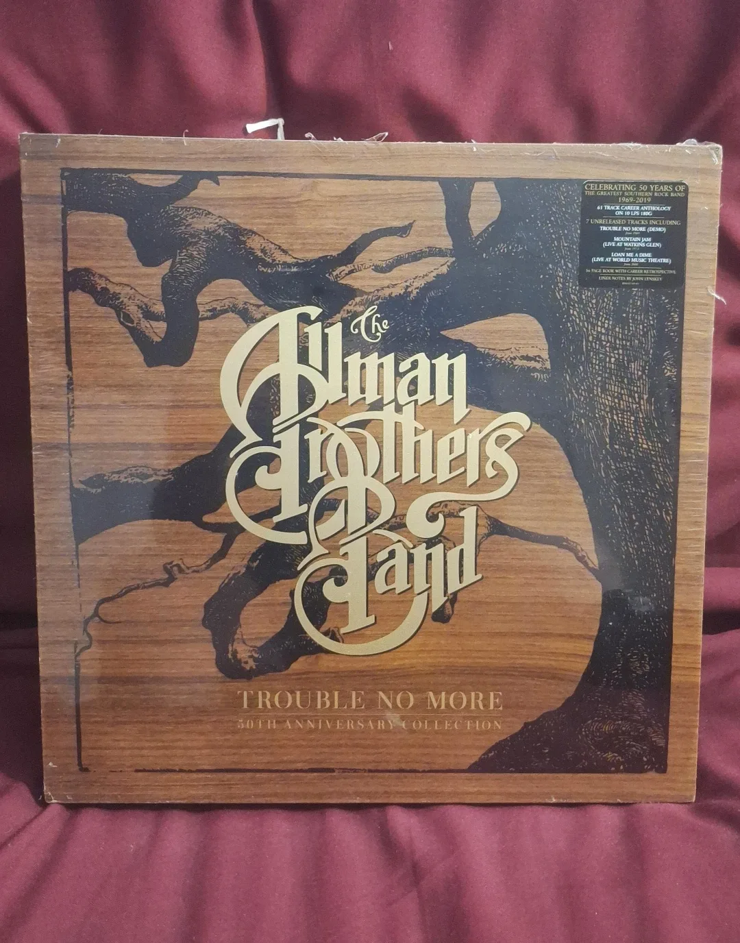 The Allman Brothers Band - Trouble No More 50th Anniversary image indicator(3)