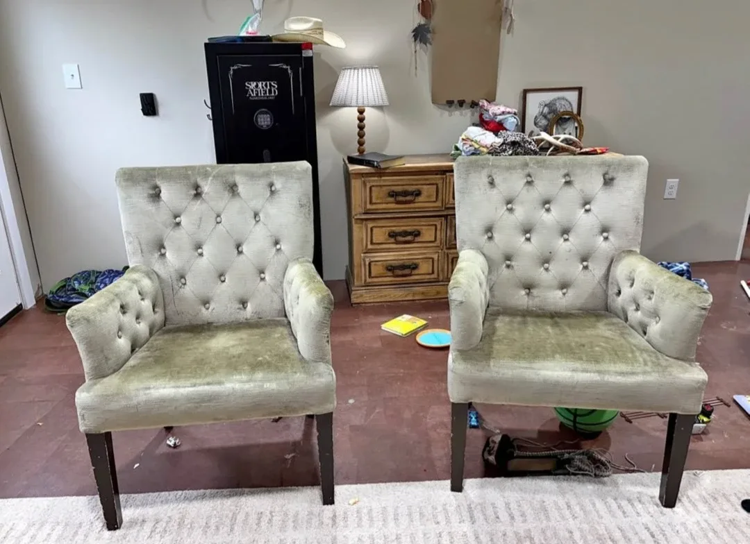 6 gold velvet chairs image indicator(4)