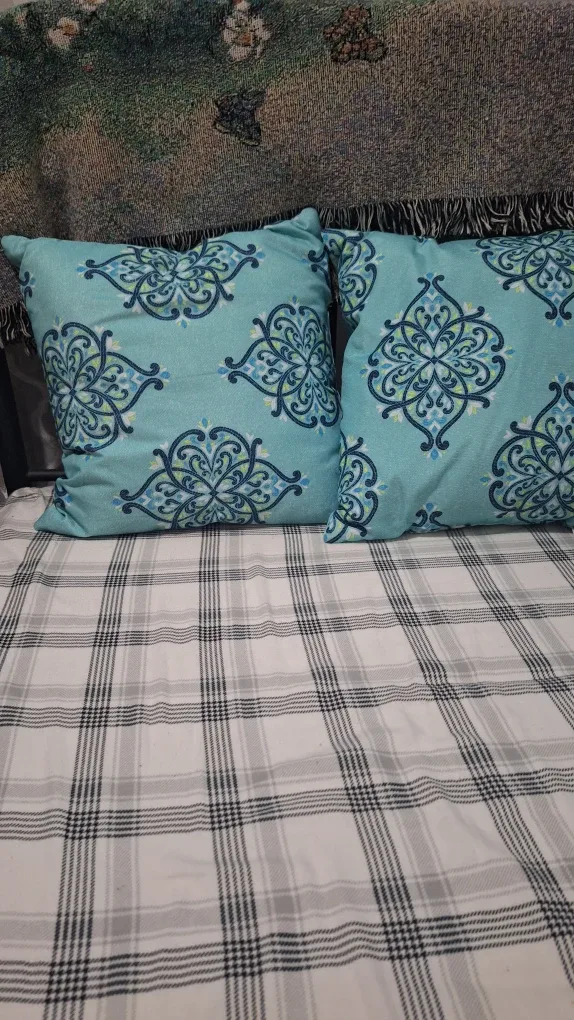 2 side pillows for sale. ( Rachel Ray) pickup and cash only