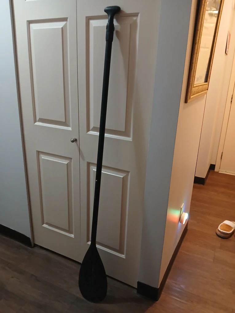 Black Paddle - photo 2