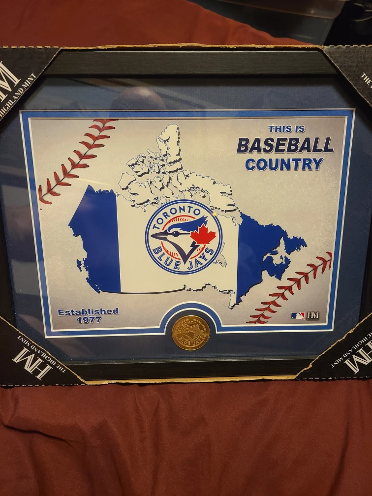 Toronto Blue Jays Framed Baseball Picture