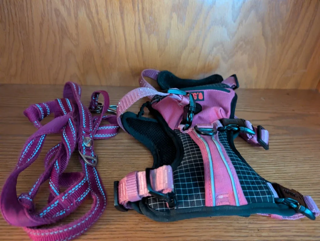 KONG Dog Harness & Leash Set image indicator(4)