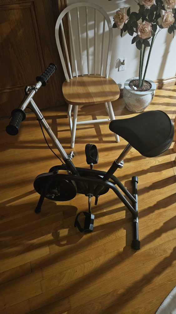York XP-300 Exercise Bike