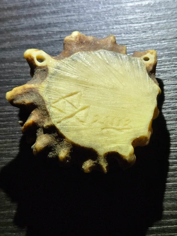 One Of A Kind Indigenous Handcarved Canucks Orca Antler Pendant image indicator(2)