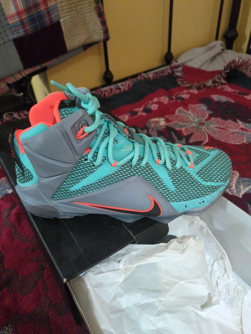 Nike LeBron XII 8.5 Men's Basketball Shoes BNIB image indicator(3)