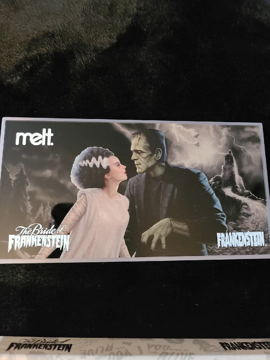 Melt Cosmetics Bride & Frankenstein Eyeshadow Palette image indicator(3)