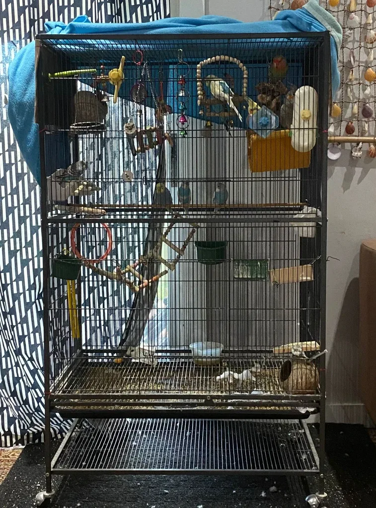 Large Bird Cage with Accessories
