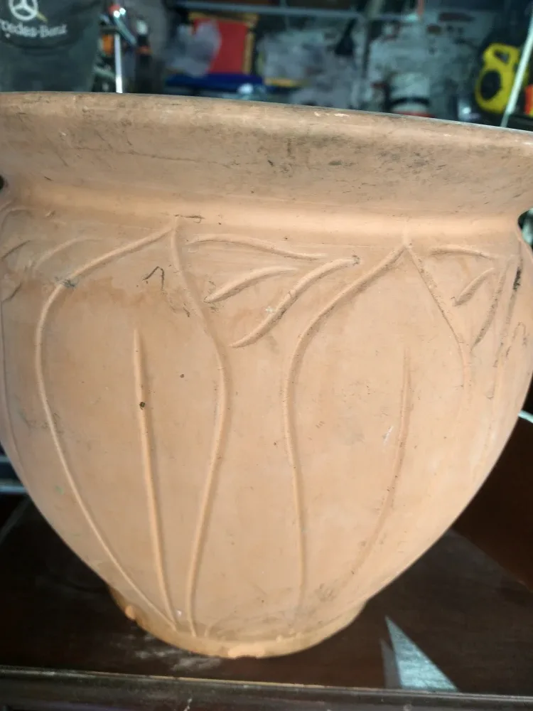 Terracotta tree/ plant Pot