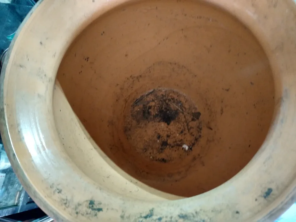 Terracotta tree/ plant Pot image indicator(2)