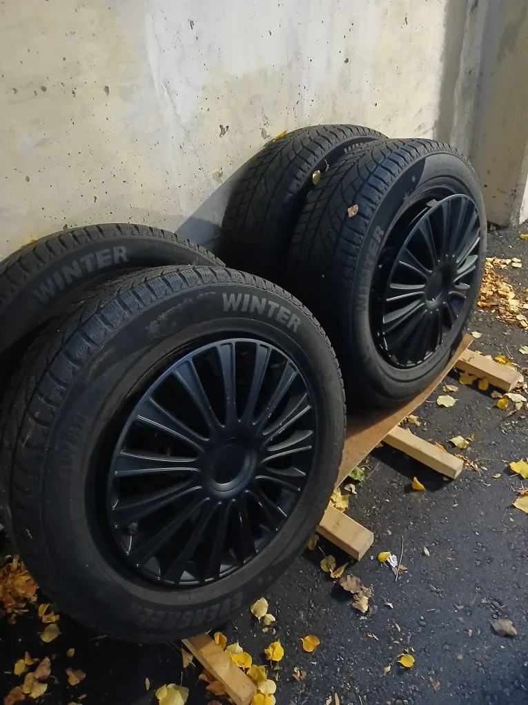 Evergreen Winter Radial Tires - 225/55R17