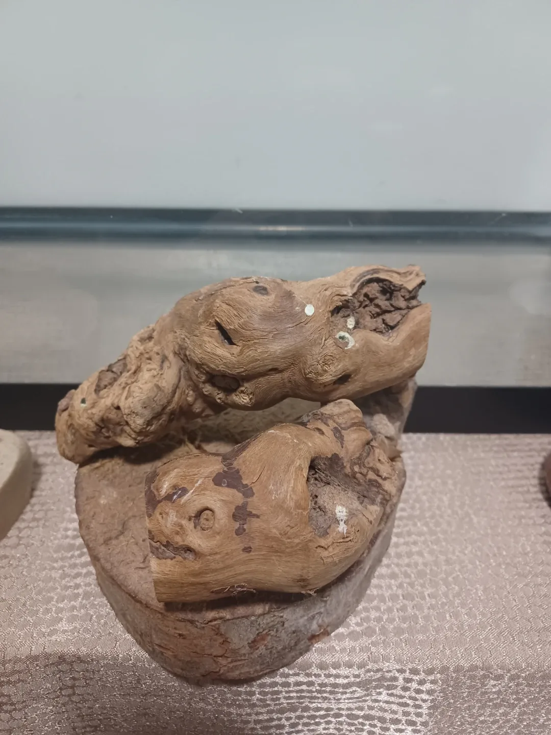 Reptile Terrarium & Accessories image indicator(4)