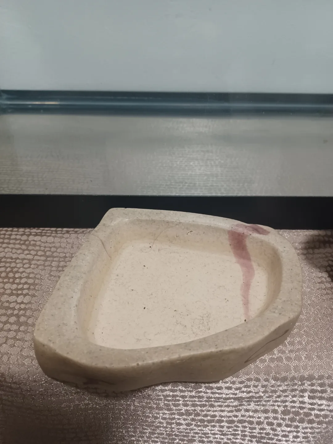 Reptile Terrarium & Accessories image indicator(5)