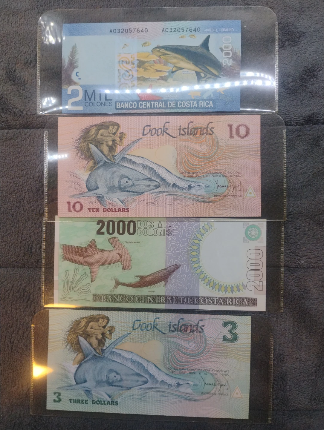 Shark money from around the world.
