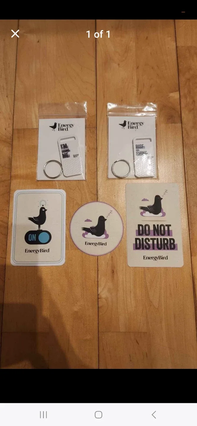 Bird Stickers/ Key Chains thumbnail