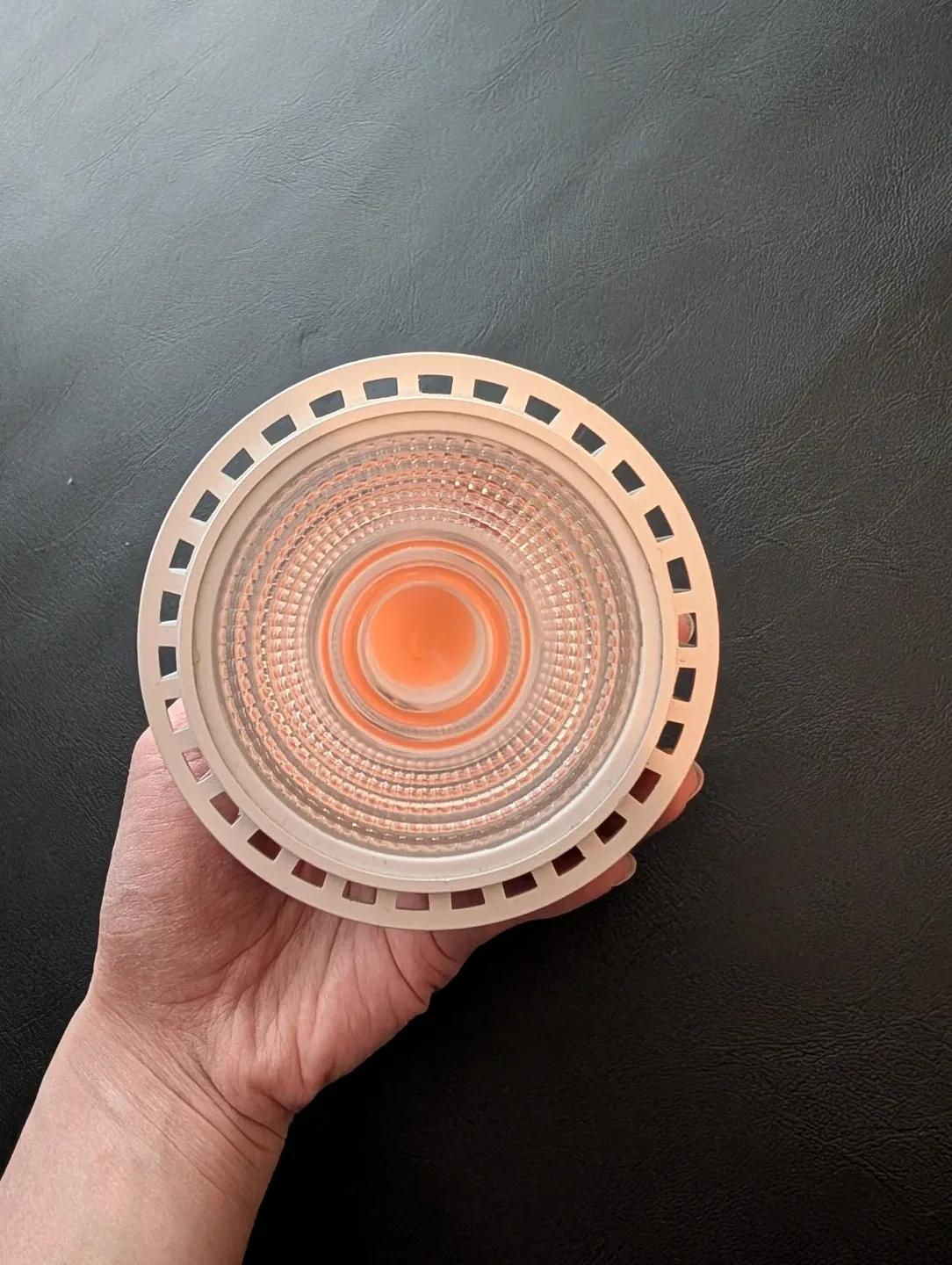 Soltech Vita PAR30 LED Grow Bulb