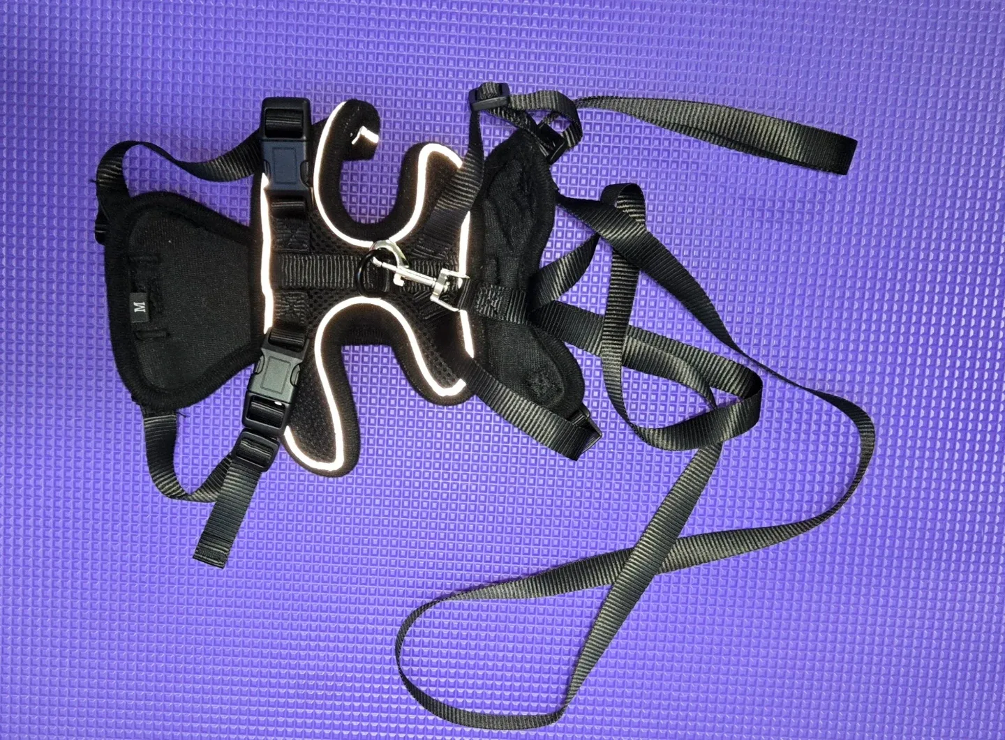 Hkppet Cat Harness and Leash Set - Black, Size M image indicator(6)