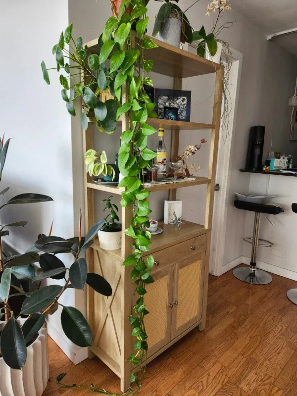 Wooden Display Cabinet with Storage