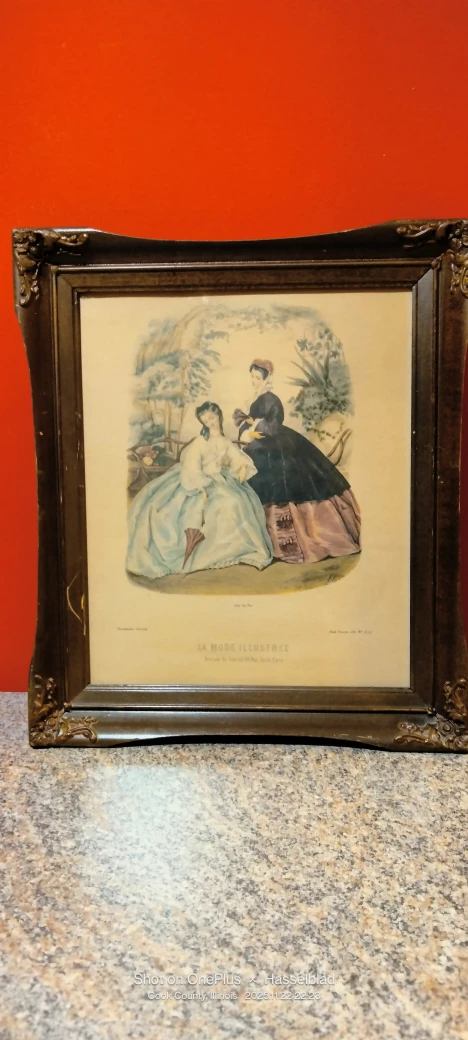 La Mode Illustree Framed Print