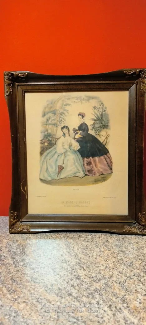 La Mode Illustree Framed Print