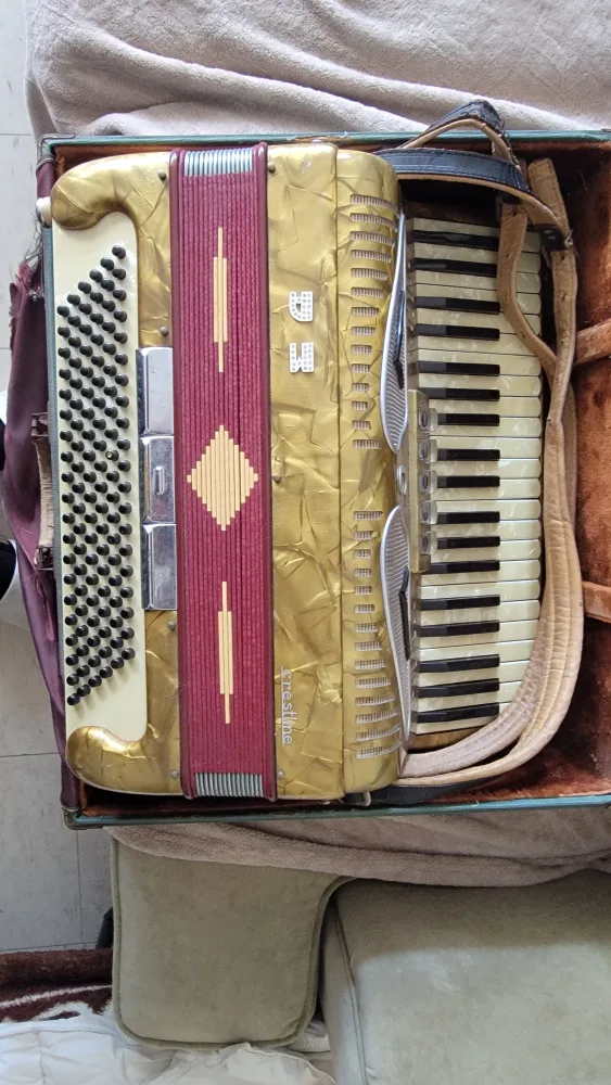 Vintage Crestline Accordion with Case image indicator(4)