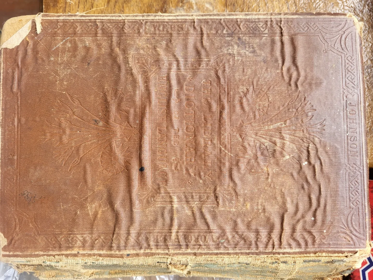 Tomorrow Thompson image indicator(2)