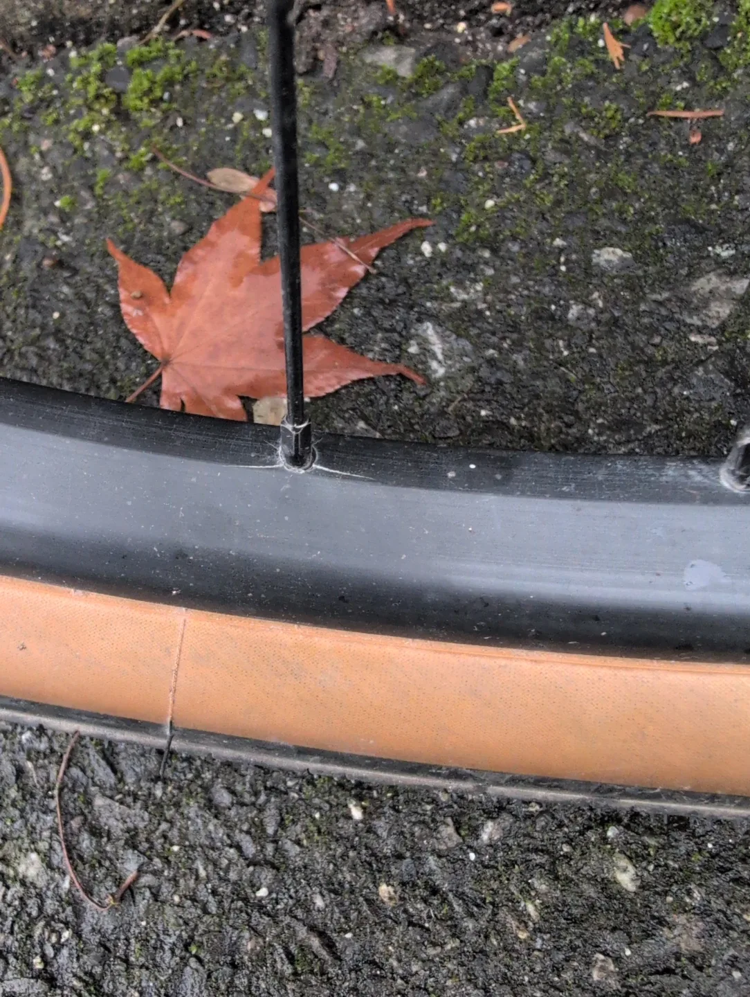 Panaracer Gravelking SS 650x47b Bike Tires and wheels image indicator(4)