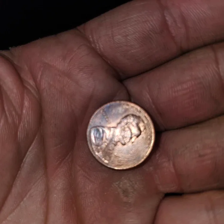 2009 discolored rare penny image indicator(5)