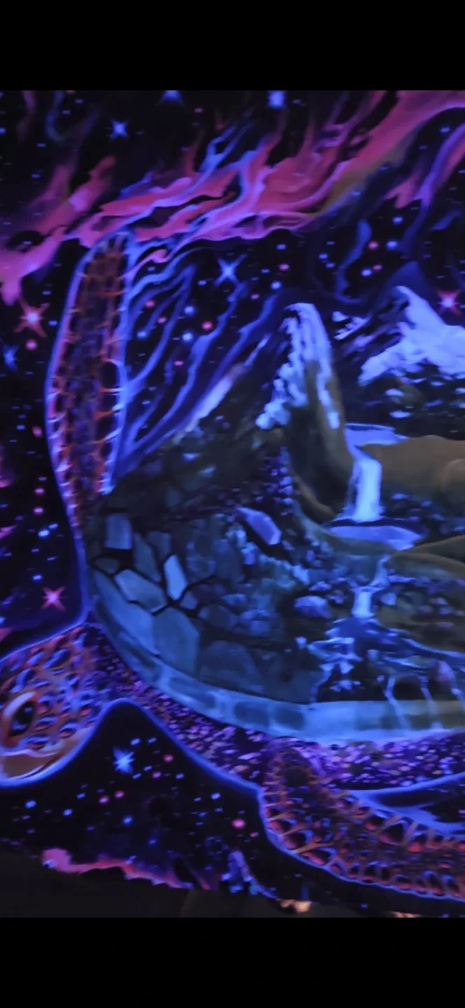 Uv activated tapestry wall hanging image indicator(2)