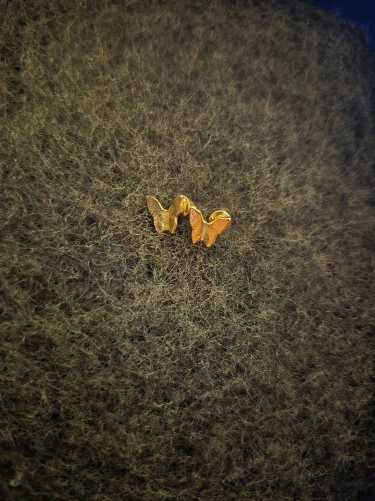 Assorted Earrings image indicator(6)