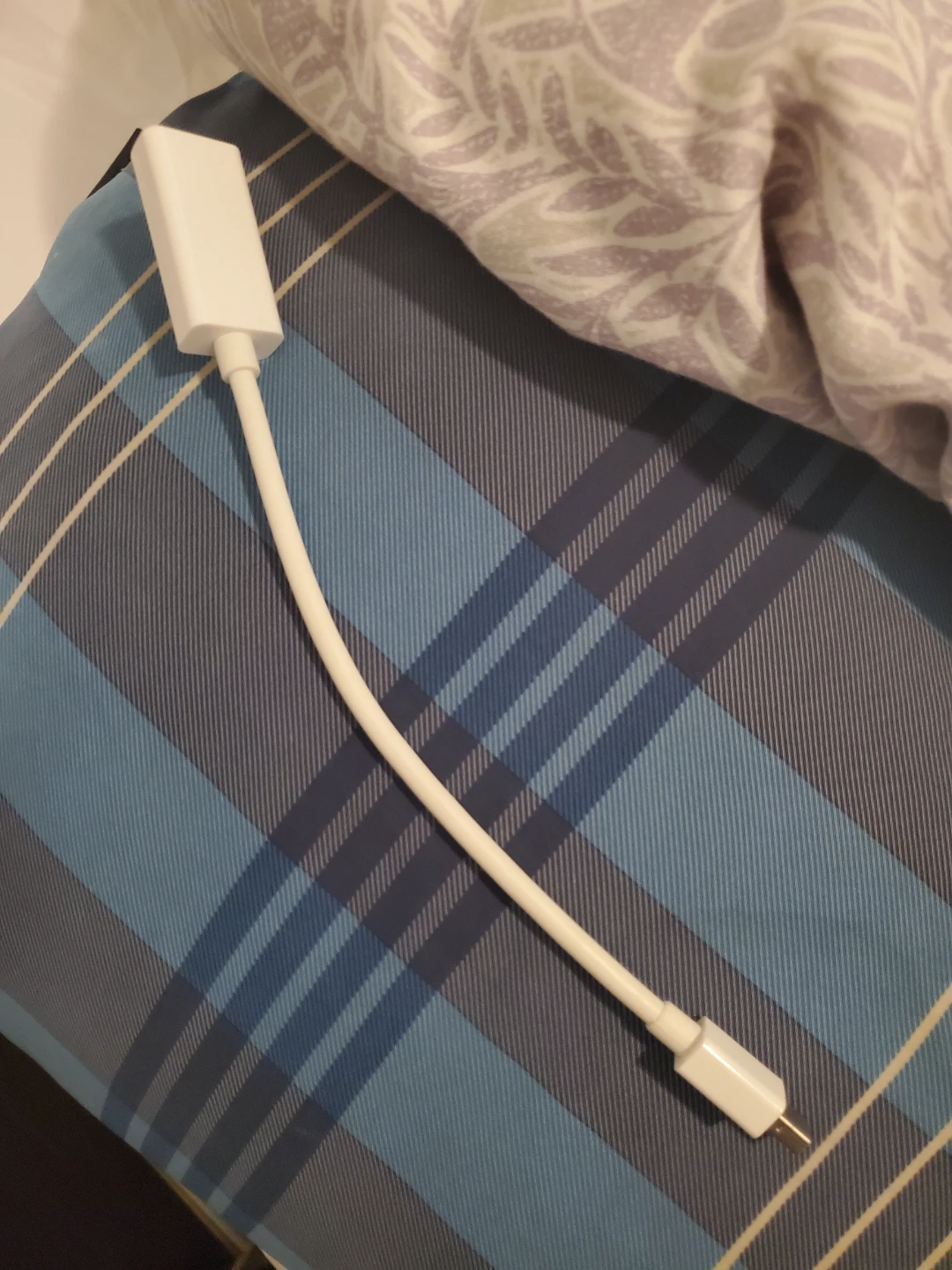 Thunderbolt to HDMI Adapter 🥕