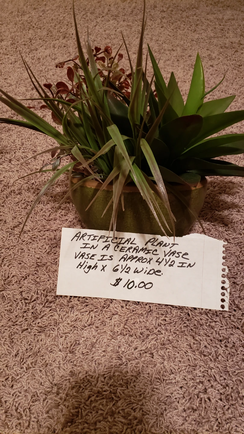 Artificial Plants in Ceramic Vases.$10 each